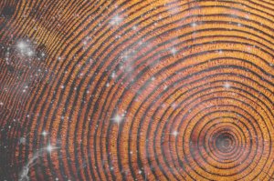 el arte y el placer de envejecer 1